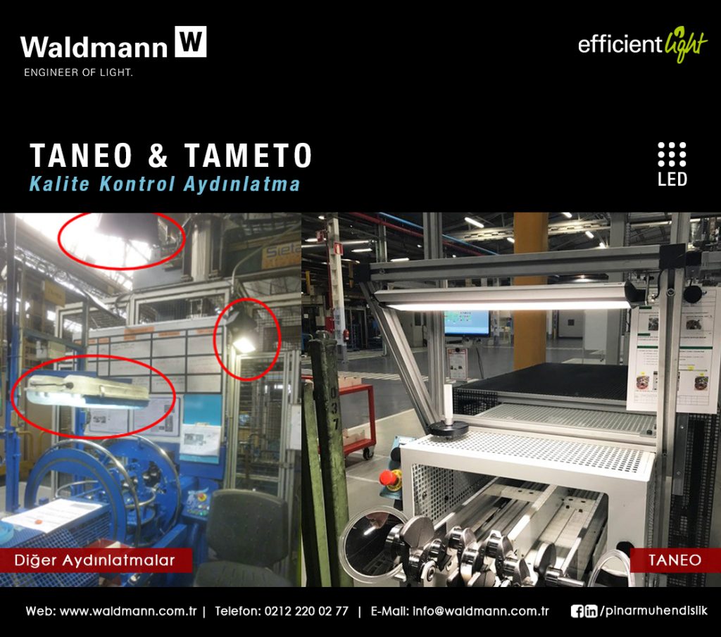 waldmann tameto